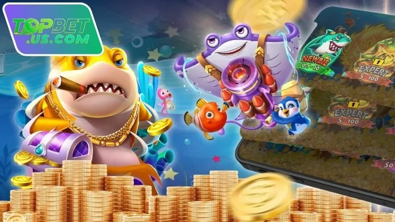 Những rủi ro khi dùng tool hack bắn cá